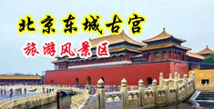 要高潮了大鸡吧射进骚逼里视频中国北京-东城古宫旅游风景区